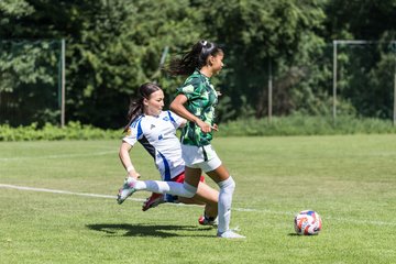 Bild 67 - wBJ Hamburger SV - VfL Wolfsburg : Ergebnis: 5:1